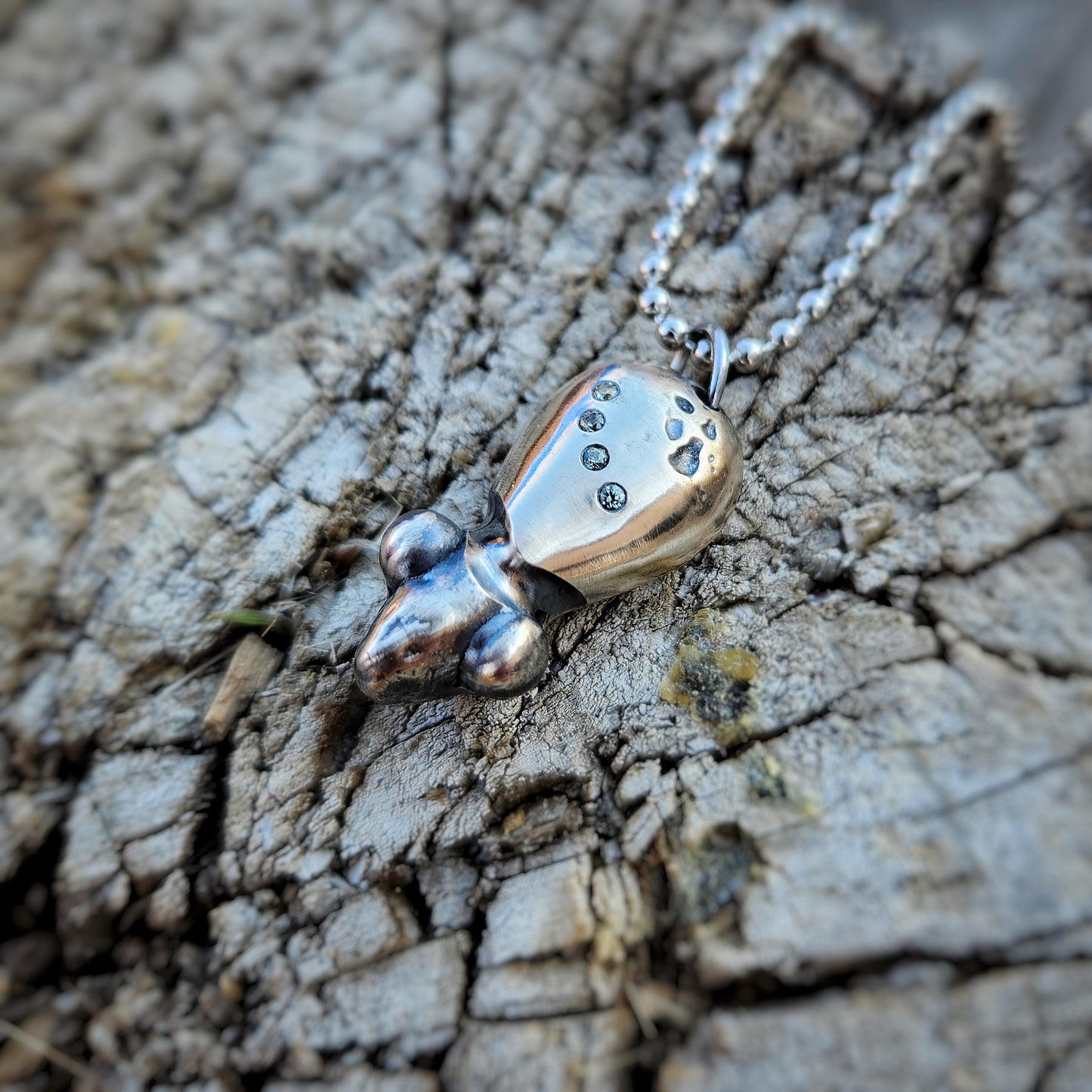 Auralis the Visitor (Wise)