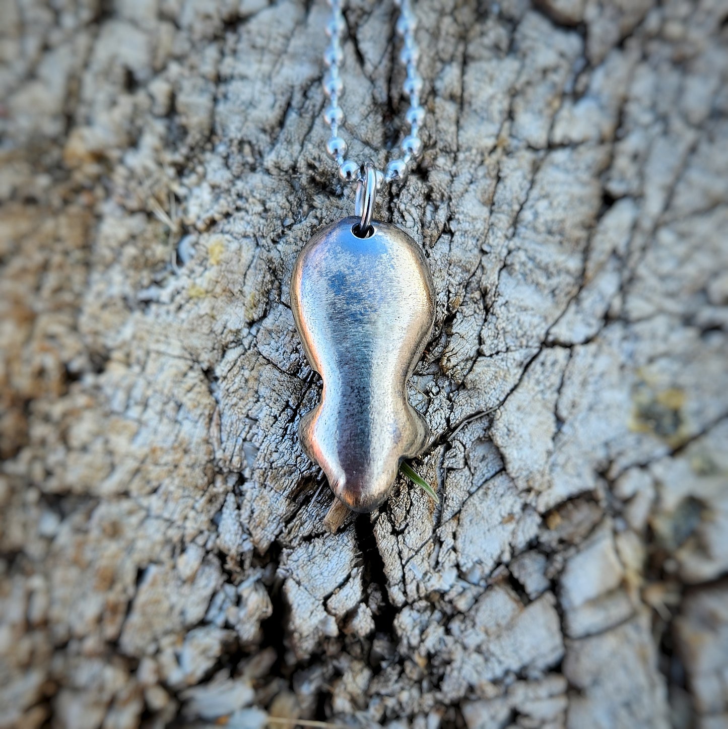 Mneme the Visitor (Wise)