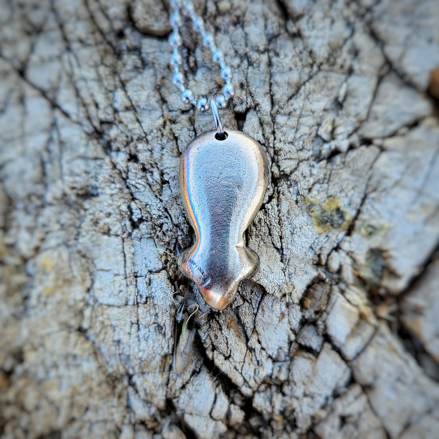 Axiom the Visitor (Wise)